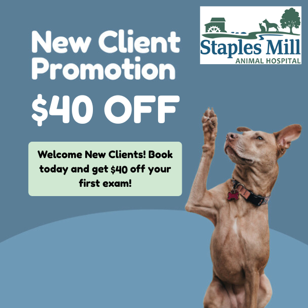 Refer a Fur-iend Graphic